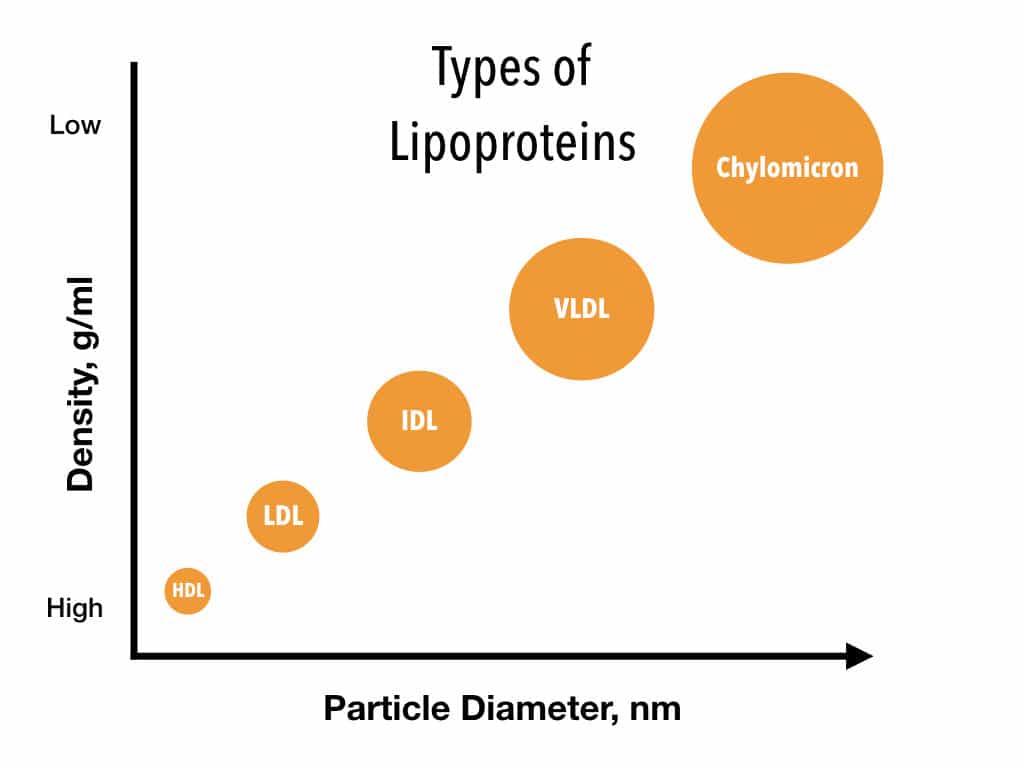 Lipoprotein Types