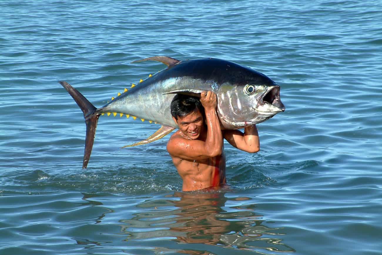 Man Holding Fish