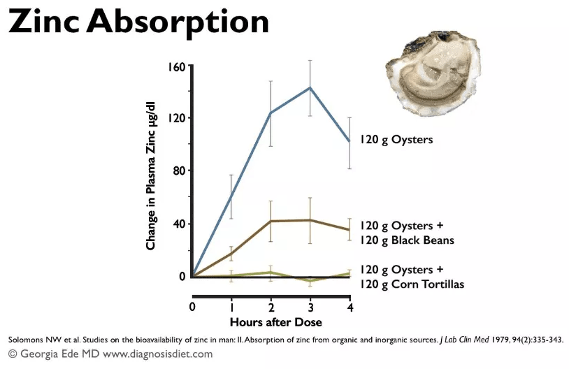 Zinc Absorption